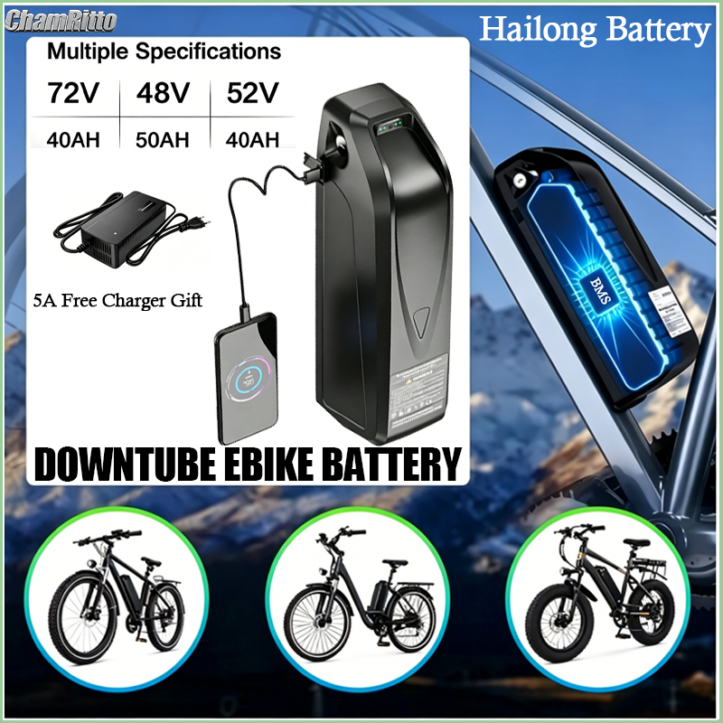 E-Bike Akku Hailong 48V 72V 52 – Ebike Battery 48V 20Ah Hailong Bewertung und Preis